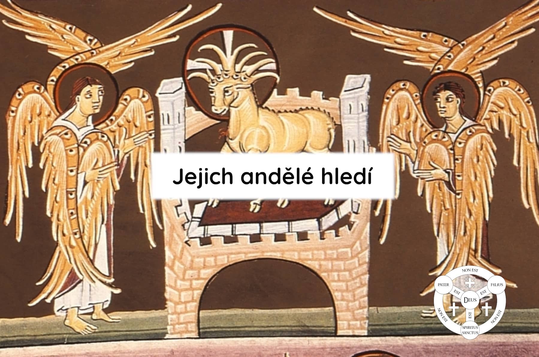 Jejich andělé hledí